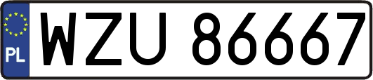 WZU86667