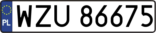 WZU86675