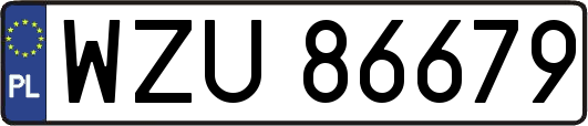 WZU86679