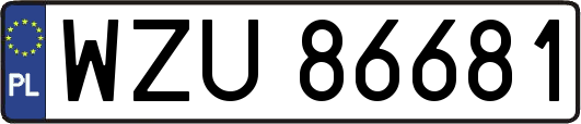 WZU86681