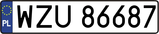 WZU86687