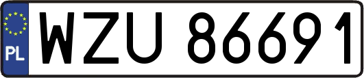 WZU86691