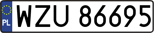 WZU86695