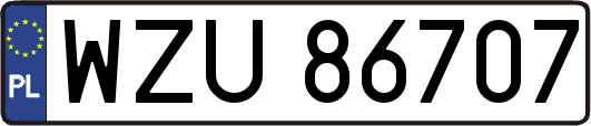 WZU86707