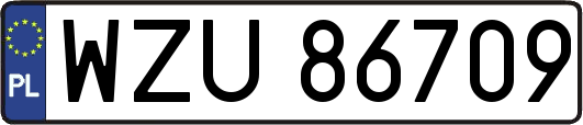WZU86709
