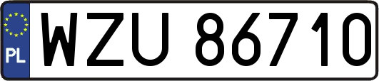 WZU86710