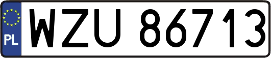 WZU86713