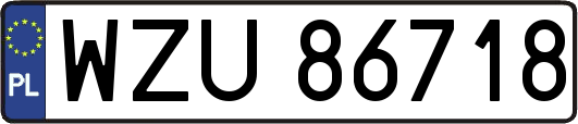 WZU86718
