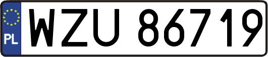 WZU86719