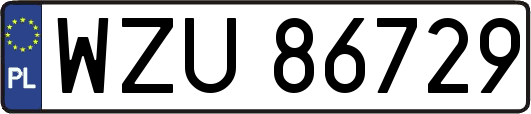 WZU86729
