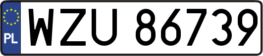 WZU86739