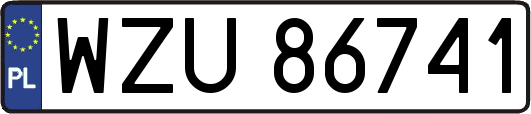 WZU86741