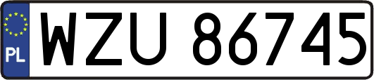 WZU86745
