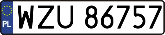 WZU86757
