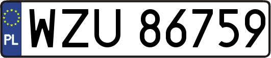 WZU86759