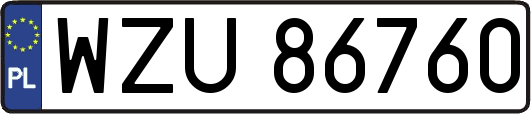WZU86760