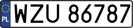 WZU86787