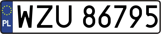 WZU86795