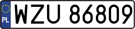 WZU86809