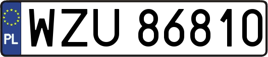 WZU86810