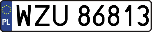 WZU86813