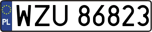 WZU86823