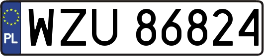 WZU86824