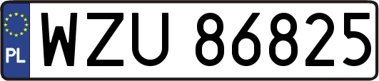 WZU86825