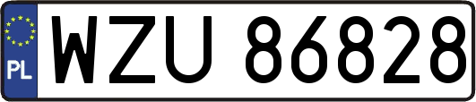 WZU86828
