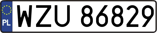 WZU86829