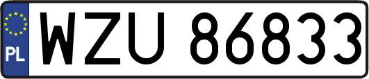 WZU86833