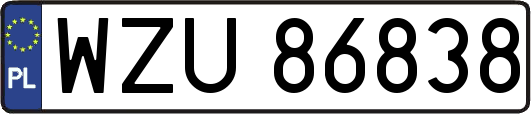 WZU86838