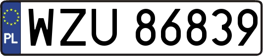 WZU86839