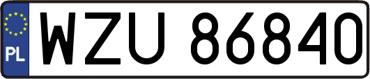 WZU86840