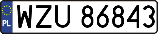 WZU86843