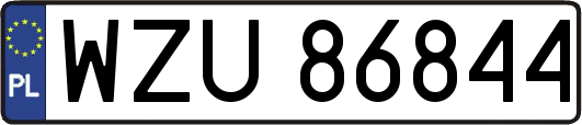 WZU86844