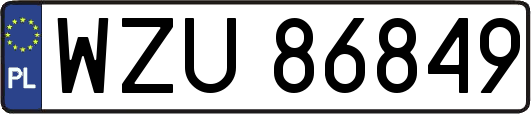 WZU86849