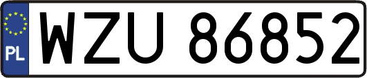 WZU86852