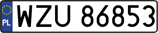 WZU86853