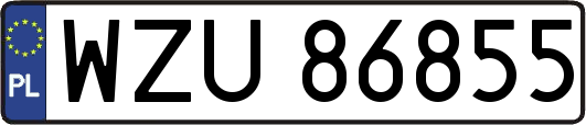 WZU86855