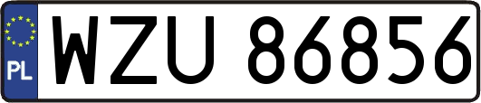 WZU86856