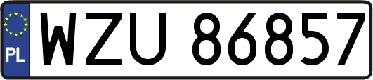WZU86857