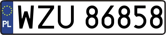 WZU86858