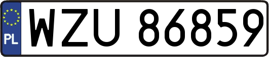 WZU86859