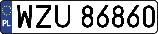 WZU86860