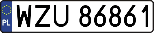 WZU86861