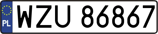 WZU86867
