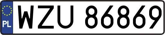 WZU86869