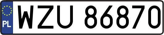 WZU86870