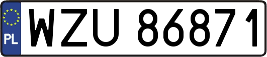 WZU86871